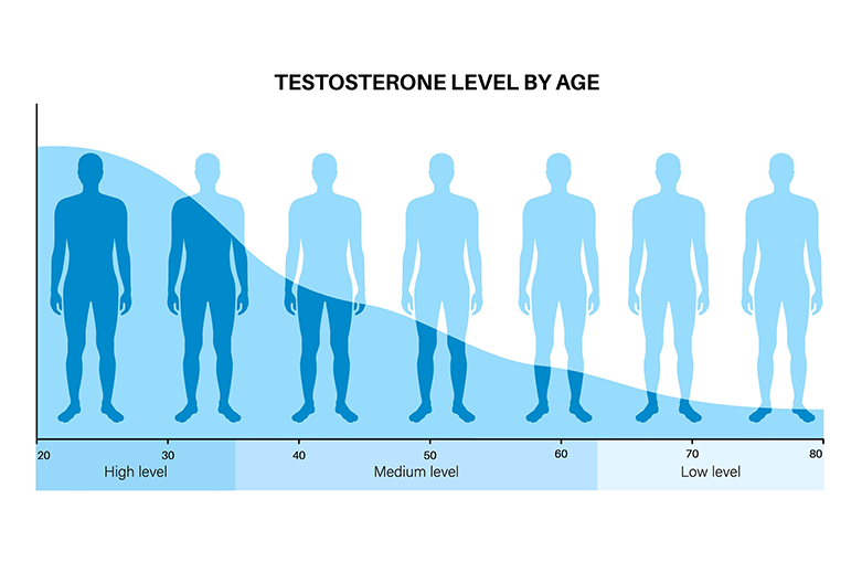 Male TRT chart graphic of the levels of TRT in men as they age